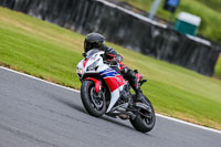 PJ-Motorsport-Photography-2020;anglesey;brands-hatch;cadwell-park;croft;donington-park;enduro-digital-images;event-digital-images;eventdigitalimages;mallory;no-limits;oulton-park;peter-wileman-photography;racing-digital-images;silverstone;snetterton;trackday-digital-images;trackday-photos;vmcc-banbury-run;welsh-2-day-enduro